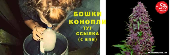 гашик Медвежьегорск