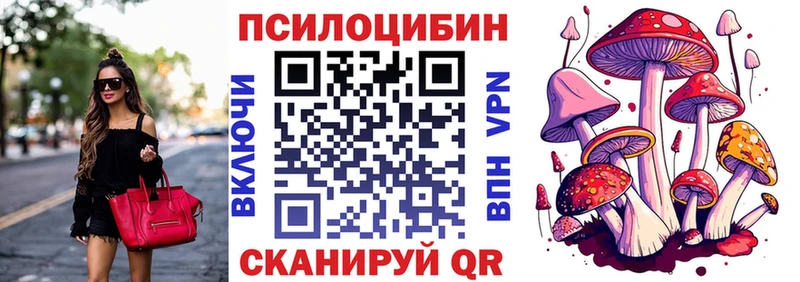 Купить закладки  Белинский  Галлюциногенные грибы Psilocybe 